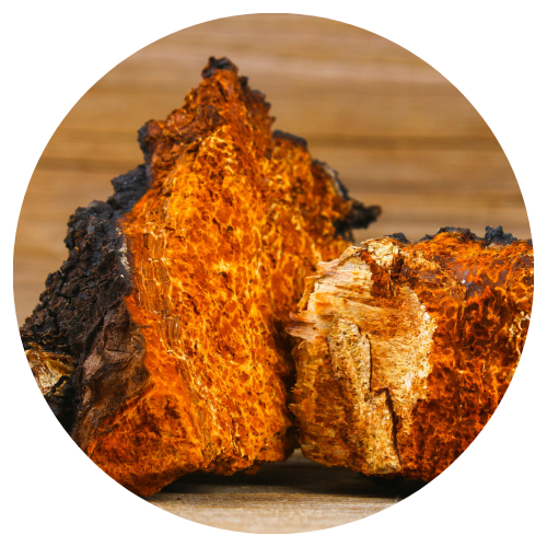 Chaga Mushroom - Diamond Sun Supplements