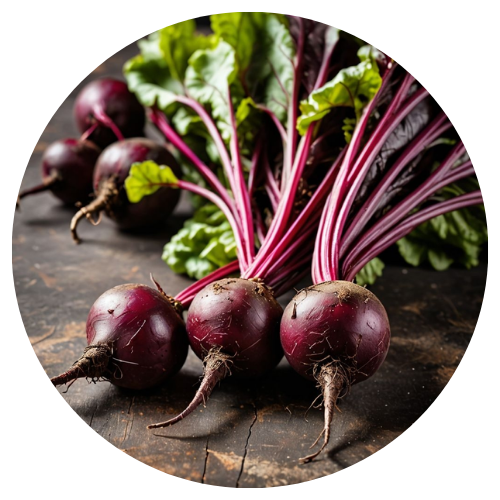 beet_root_supplement